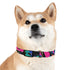 Neon graffiti dog collar in black onyx, urban chic M size.