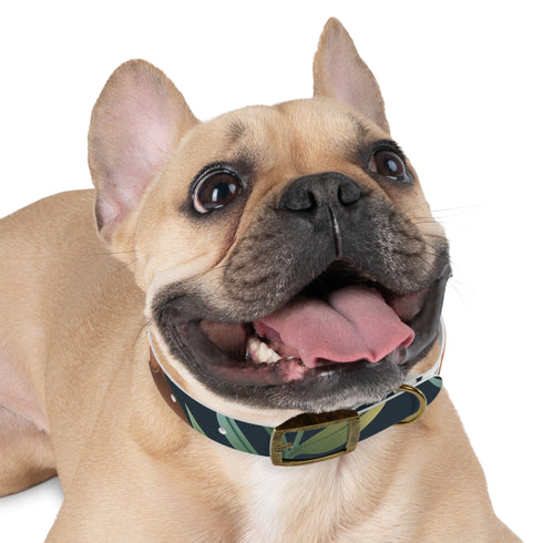 Wild Tiger Jungle Collar Adventure