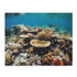 Colorful Great Barrier Reef Coral Jigsaw Puzzle with Marine Life Pattern