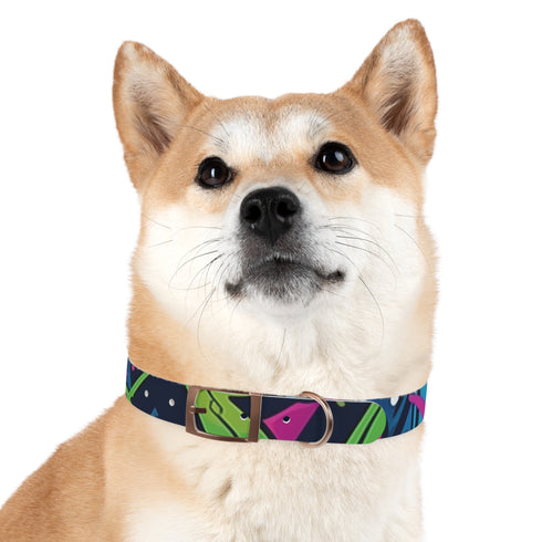 Neon graffiti dog collar in black onyx for trendy pets.