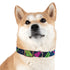 Neon graffiti dog collar in black onyx for trendy pets.