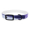 Stylish lavender dog collar with vibrant flower pattern for walks.