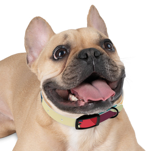 Retro Waves Dog Collar: Vibrant, Stylish and Fun!