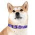 Lavender fields dog collar in medium size with black onyx design.