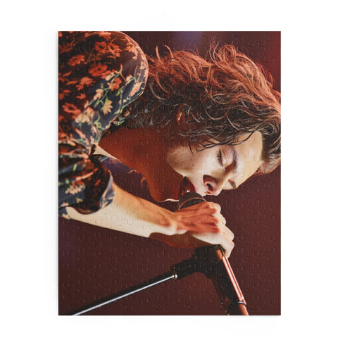 Harry Styles singing jigsaw puzzle with 120 pieces, back-to-school pick