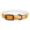 Retro Waves Dog Collar: Colorful & Vibrant Design