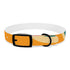 Retro Waves Dog Collar: Colorful & Vibrant Design