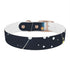 Starry Night Dog Collar: Constellation Chic