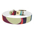 Retro Waves Dog Collar: Vibrant, Stylish and Fun!