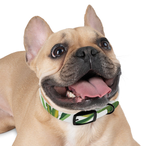 Tiger Jungle Safari Dog Collar