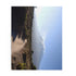 Mount Kilimanjaro Tanzania jigsaw puzzle depicting majestic peak under sunny sky.