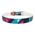 Neon graffiti dog collar in black onyx for medium dogs.