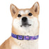 Lavender Fields Dog Collar with Black Onyx M size.