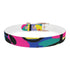 Neon graffiti dog collar in black onyx for urban chic pets.