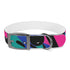 Urban chic neon graffiti dog collar in M size, black onyx.