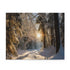 Enchanting Winter Forest Jigsaw Puzzle - Serene snow-covered forest scene with twinkling trees, perfect for relaxation and fun