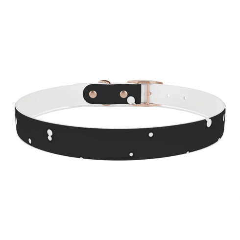 Galactic Dreams Dog Collar: Celestial black collar with twinkling stars pattern.