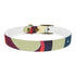 Retro Waves Dog Collar: Vibrant, Stylish and Fun!