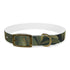Tiger Print Jungle Safari Collar