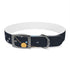 Starry Night Dog Collar: Constellation Chic