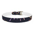 Festive Fireworks dog collar in M size, Black Onyx color variant.