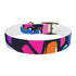 Neon graffiti dog collar with bright urban pattern for daily walks.