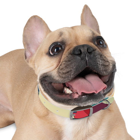 Retro Waves Dog Collar: Vibrant, Stylish and Fun!