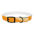 Retro Waves Dog Collar: Colorful & Vibrant Design