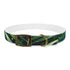 Tiger Stripe Jungle Safari Collar