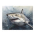 Great White Shark Jigsaw Puzzle - Discover the thrilling world of sharks with this stunning 1000-piece puzzle!