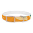 Retro Waves Dog Collar: Colorful & Vibrant Design