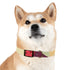 Retro Waves Dog Collar: Vibrant, Stylish and Fun!
