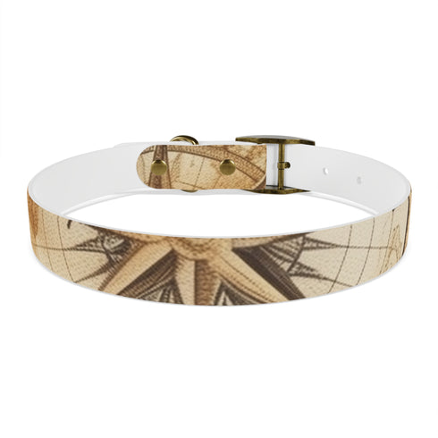 Vintage Maps Seamless Pattern Dog Collar in Black Onyx for Medium Dogs