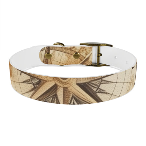 Vintage maps seamless pattern dog collar in black onyx, size M.