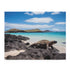 Galapagos Islands Puzzle Adventure - Discover unique wildlife and beauty in vibrant jigsaw