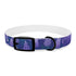 Lavender Fields Dog Collar: Floral Black Onyx Accessory for Pets