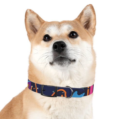 Neon graffiti dog collar in black onyx for urban walks.
