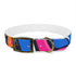 Neon graffiti urban dog collar in M size, black onyx.