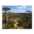 Vibrant Madagascar biodiversity jigsaw puzzle featuring unique island flora and fauna.