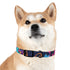 Neon Graffiti Dog Collar: Vibrant Urban Style for Trendsetting Pups
