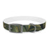 Tiger Print Jungle Safari Collar