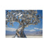 Mechanical Tree in Metallic Desert — Plush Fleece Throw Blanket — 300 GSM Plush Coral Fleece Texture Close-Up