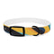 Retro Waves Dog Collar: Vibrant Style