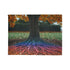 Binary Tree with Rainbow Roots Plush Fleece Throw Blanket