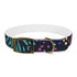 Vibrant festive fireworks dog collar in black onyx for medium dogs.