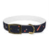 Festive Fireworks Dog Collar in Medium Black Onyx for Pets.
