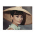 Audrey Hepburn Tribute Jigsaw Puzzle - Piece Together Elegance & Charm Iconic Hollywood Star - 500 Pieces