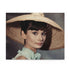 Audrey Hepburn Tribute Jigsaw Puzzle - Piece Together Elegance & Charm Iconic Hollywood Star - 500 Pieces