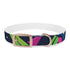Neon graffiti dog collar in black for medium size dogs.