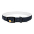 Starry Night Dog Collar: Constellation Chic